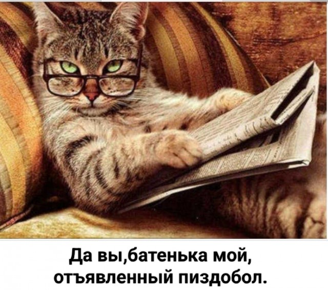 Макака изнасиловала туриста