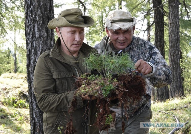 На границе белгородского села Теребрено идет бой с ВСУ