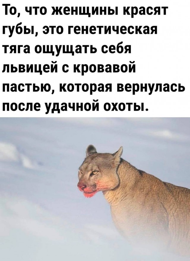 Маленькая пятница