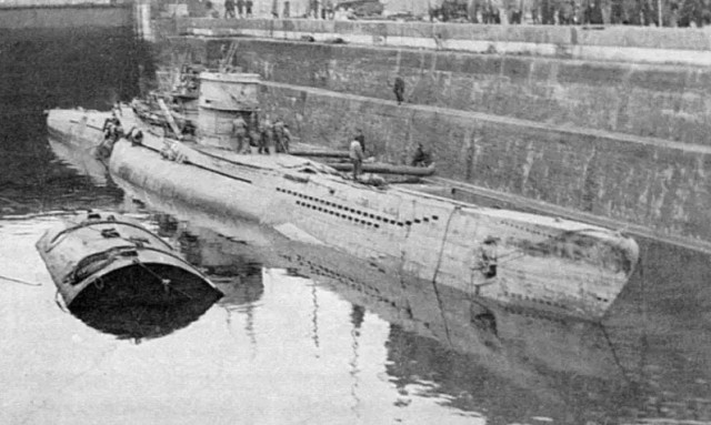 Тупые когти «серых волков»