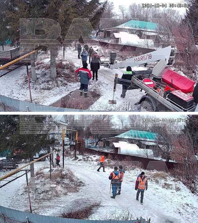 В Уфе чиновники спилили 30-летнюю ель местной жительницы и установили её на площади у дворца творчества