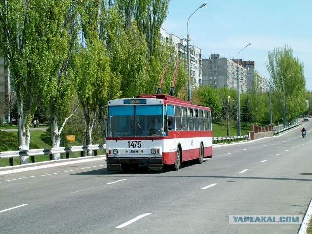 Самый массовый троллейбус мира