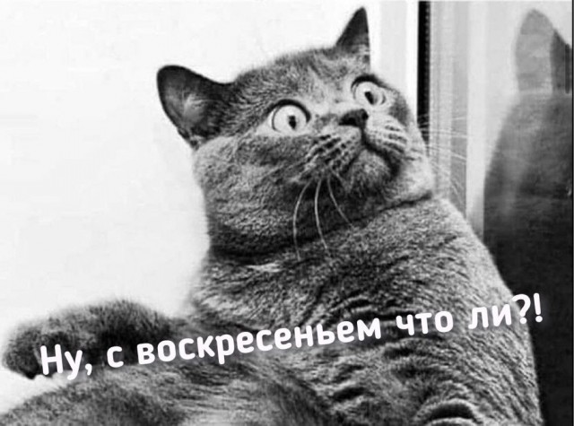 Воскресные картинки