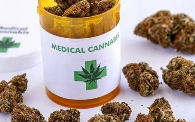 Королёк моей любви