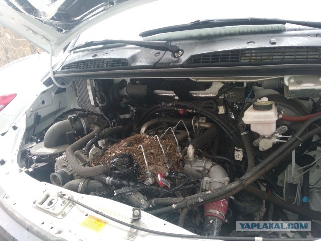Когда думаешь, что "колодки скрипучие поставил"