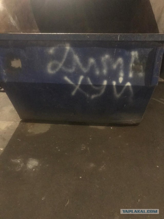 Это Дима