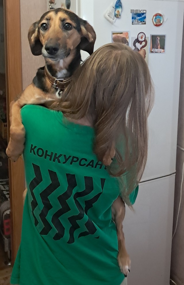 От такого будильника так просто не отвертишься