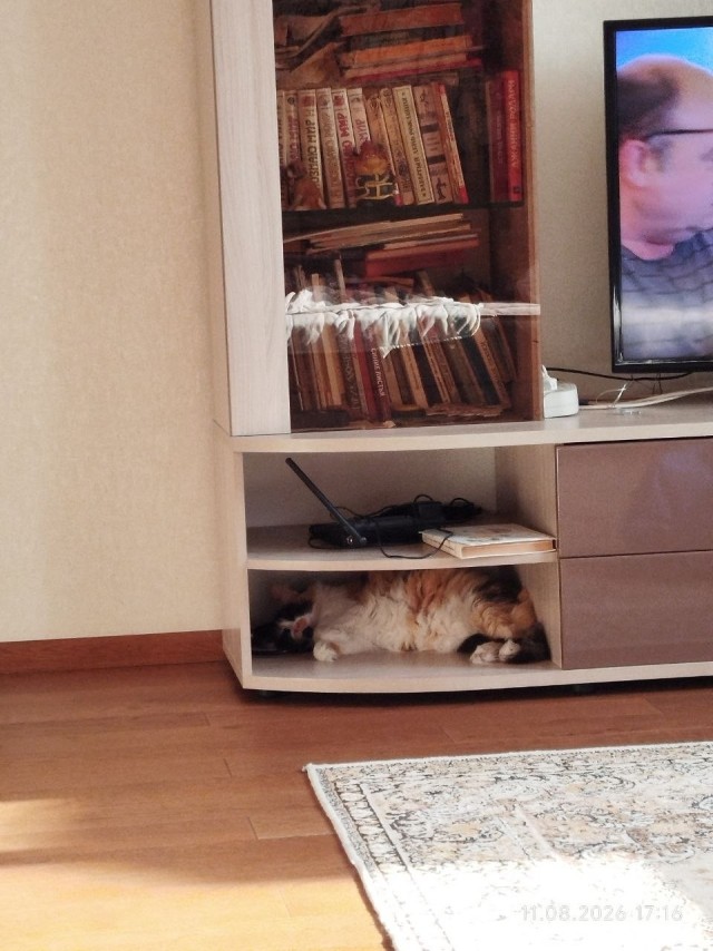 Вот и я стал рабом