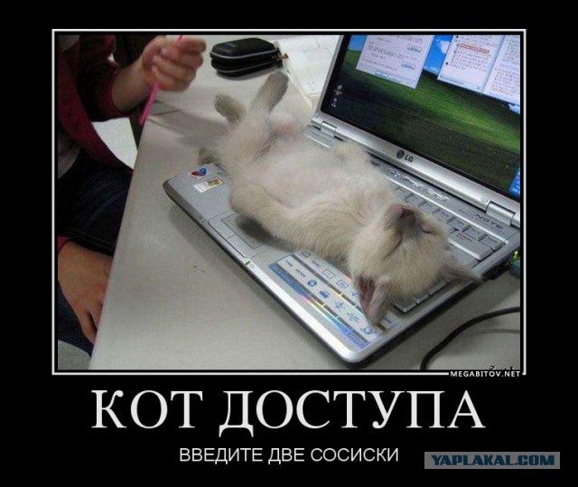Свежая подборка демотиваторов