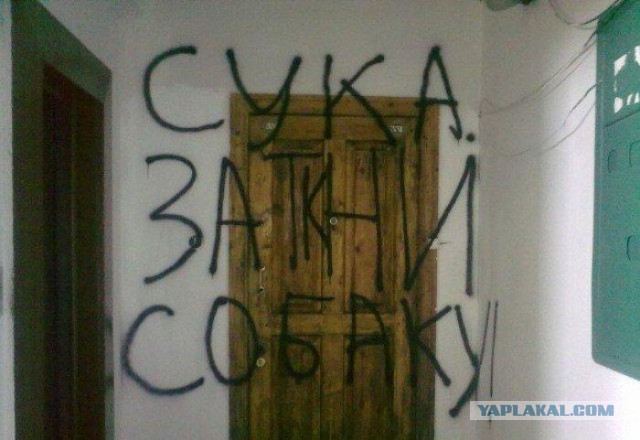 Немного позитива на пятницу