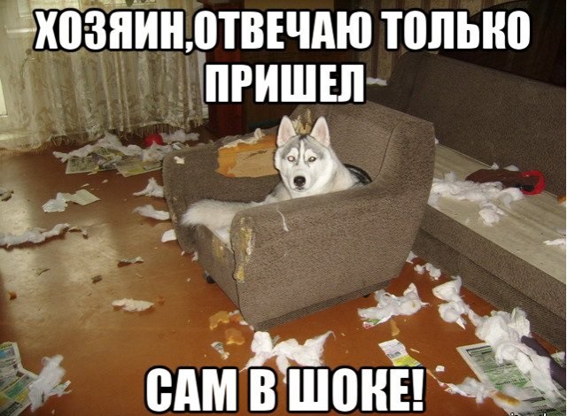 И кто это сделал?