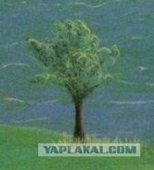 Дилемма учителя - Ругать или Хвалить?..