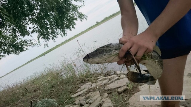 Рыбалка на Озернинском водохранилище