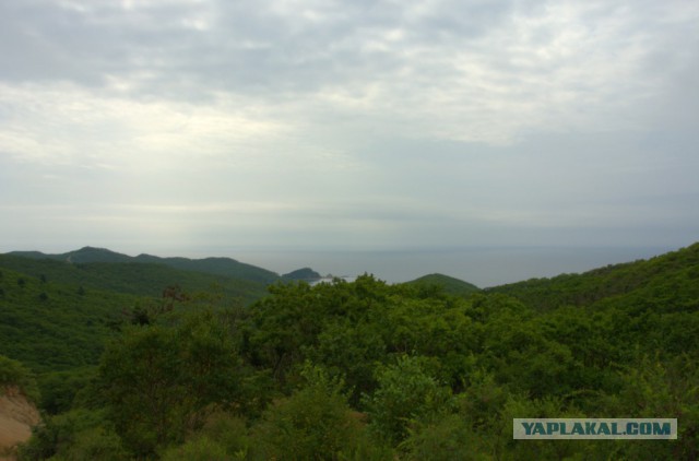 Такое разное Чёрное море