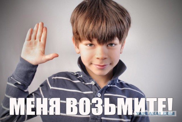 Перепись фотожаберов