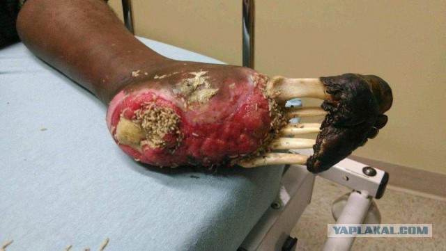 Страшные картинки