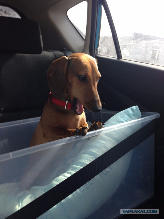 Памяти ушедшего рано Друга