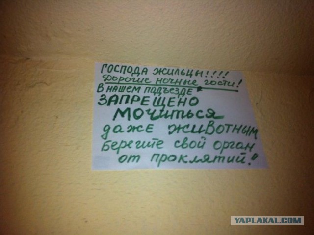 Соцсети - и смех и грех