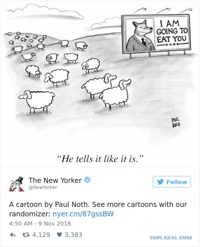 15 карикатур про нового президента США