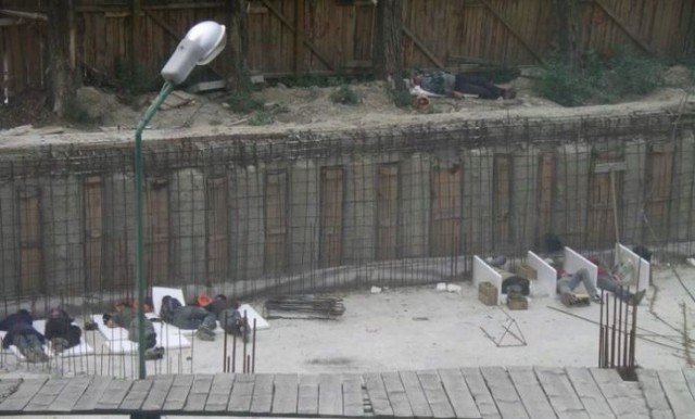 49 забавных картинок