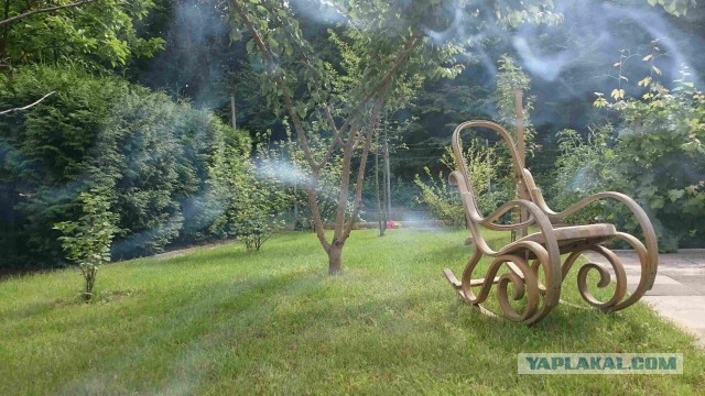 Полезные советы от опытных фотографов