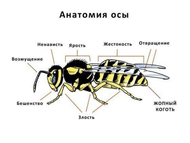 Приколюшечки (Часть 2)