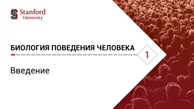 Научные сериалы, которые сильно поднимут уровень вашего кругозора