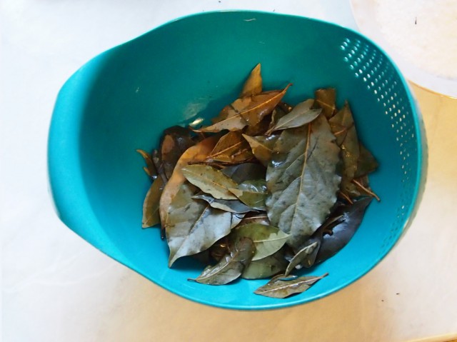 Готовимся к войне с вампирами. Время пришло