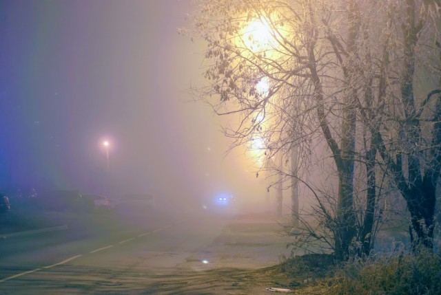 Немного зимних фото