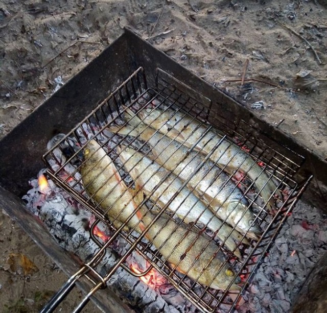 Со своих рыбалок, лето 2019
