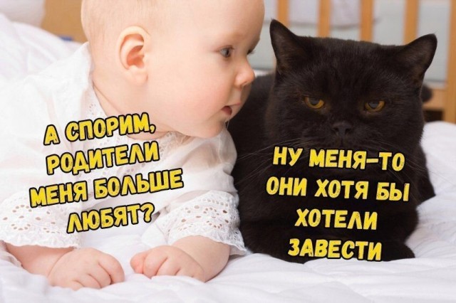 Так себе картинки 03.07.20