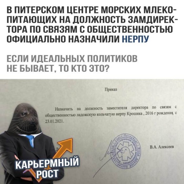 Утренний беспредел