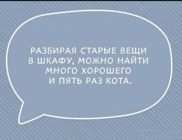 Немного картинок с надписями и без - 28.02.21