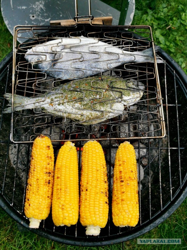 Мои шашлыки