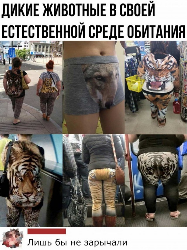 Картинки и мемы для настроения 008
