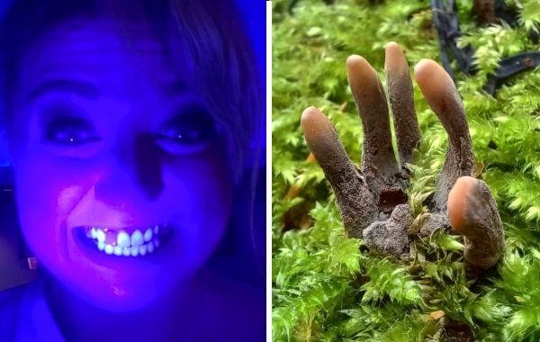 15 любопытных фотографий, которые удивят даже тех, кто думает, что всё видели