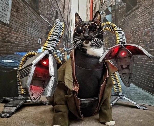 Прикольные и просто красивые картинки 07.07.2022