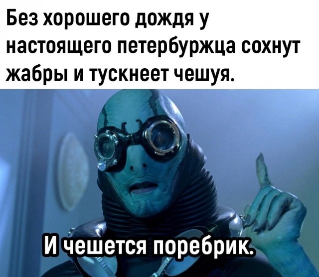 Прикольные и просто красивые картинки 06.12.2022