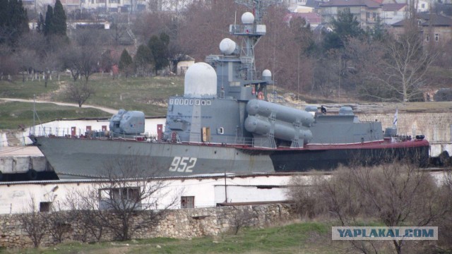 Крым в феврале или "Не стреляйте в белых лебедей!"