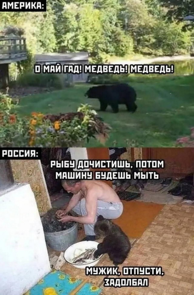 Картинки и мемы, всяко разно - 185