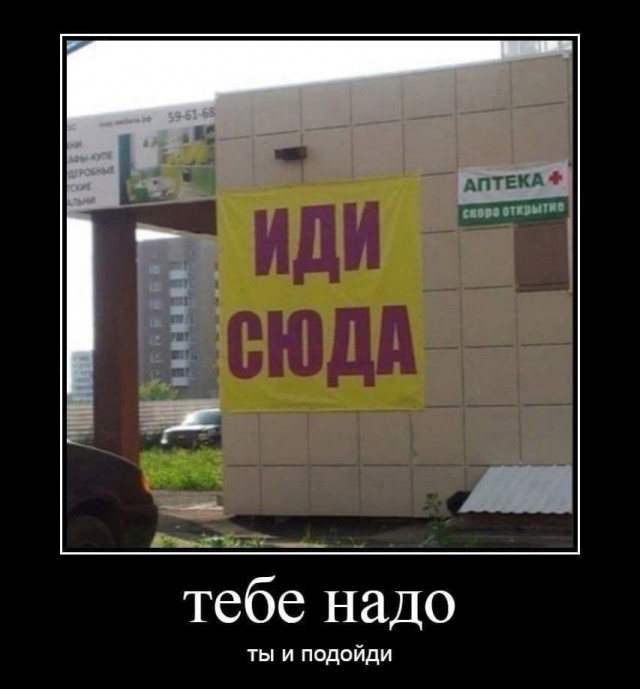 Так себе картинки 17.10.23