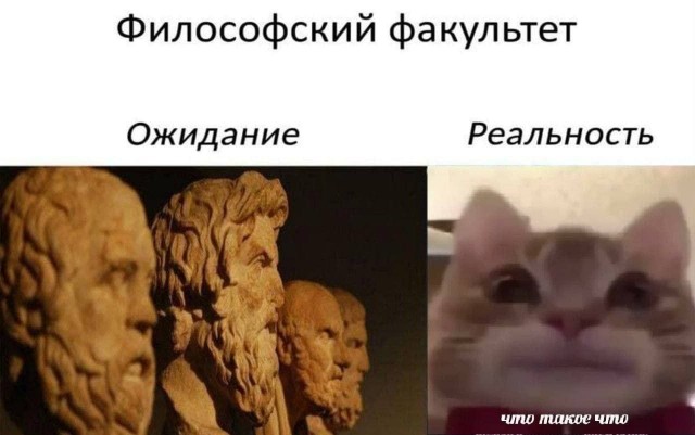 Всего понемногу. От 15.11.23
