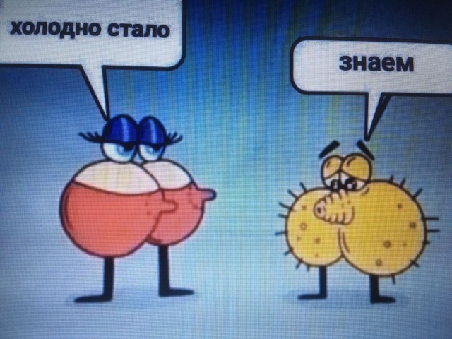 Детский садик в Рязани