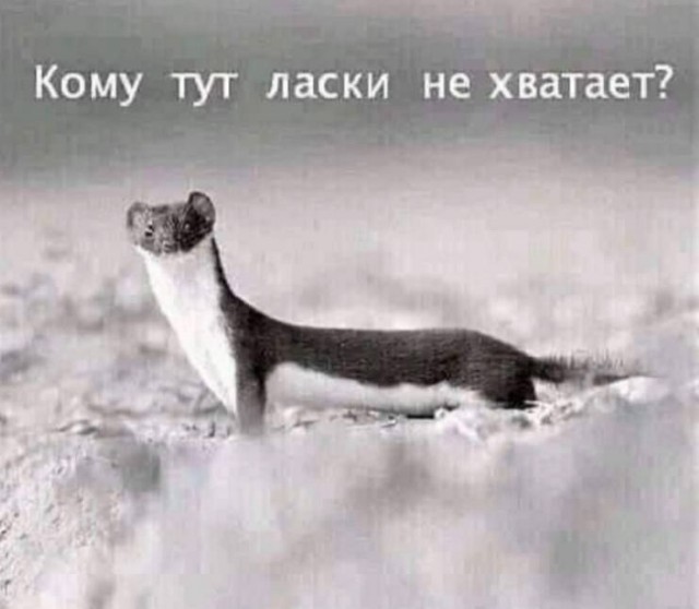 Так себе картинки 19.12.23