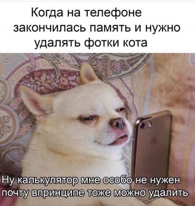 Завалялось тут случайно немного забавных картинок