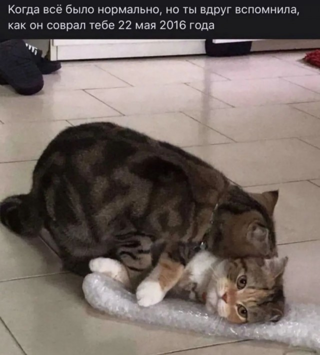 Завалялось тут случайно немного забавных картинок