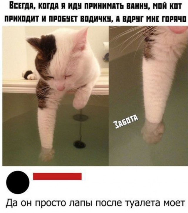 Всего понемногу. От 08.12.24