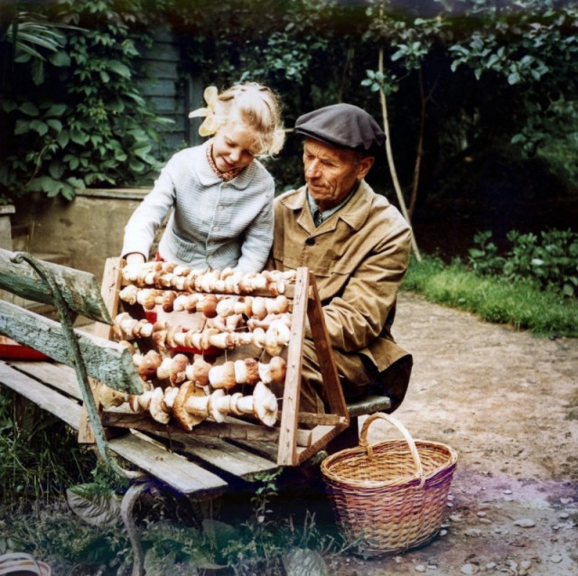 Москва и москвичи. Двадцатый век. 03.03.2025