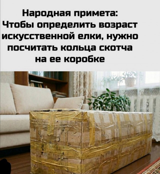 Так себе картинки 24.12.25