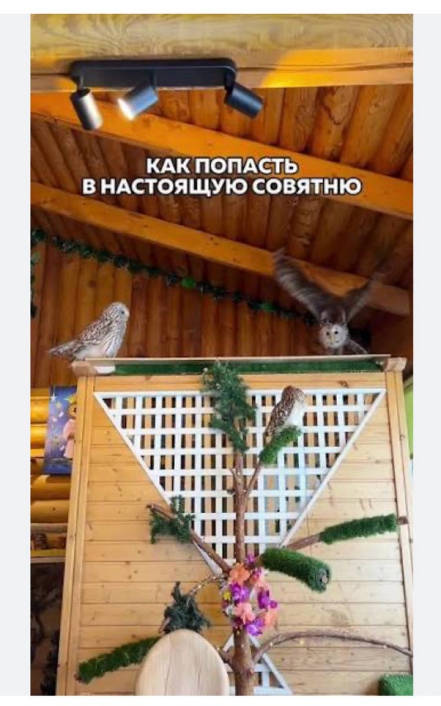 Где живёт Сова?